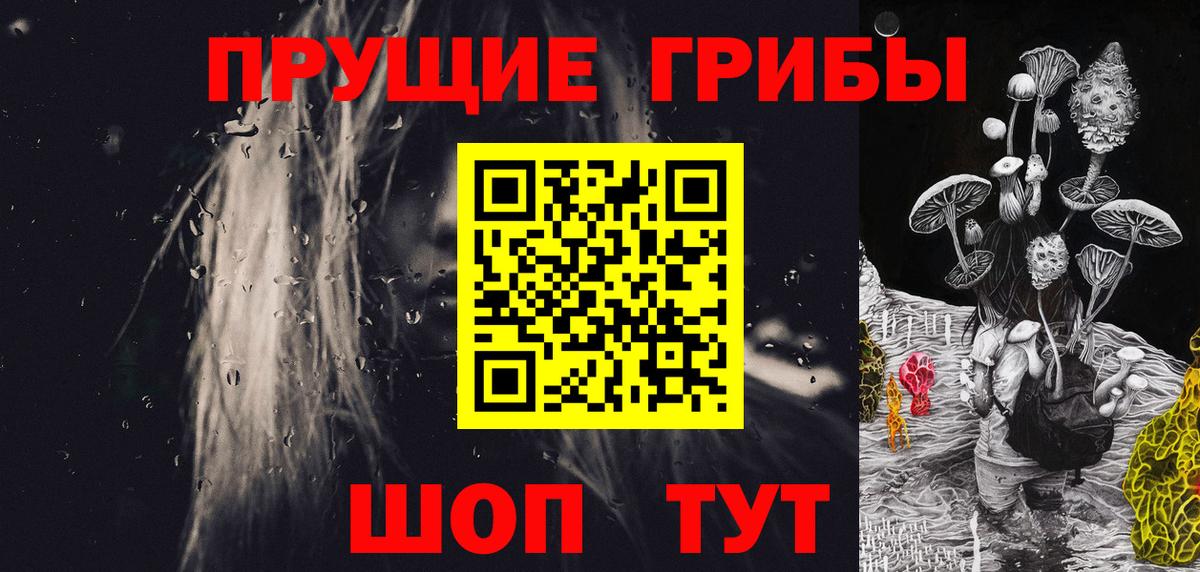 Великие Луки  Псилоцибиновые грибы Psilocybe  Вход с VPN 